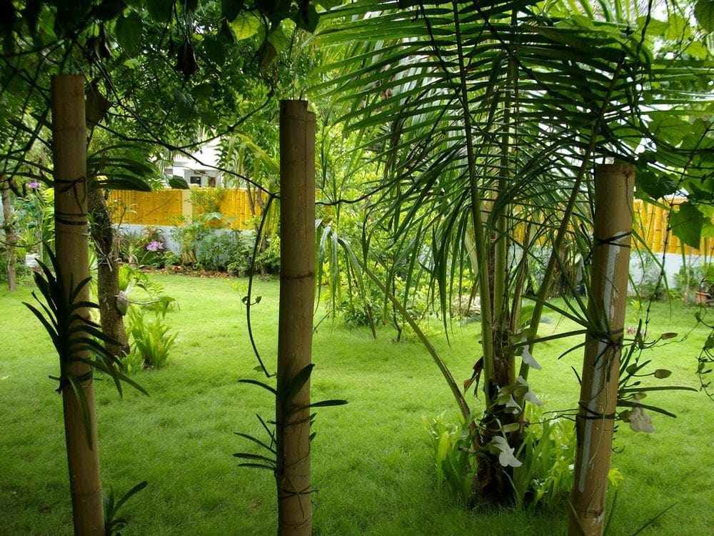 Accommodation