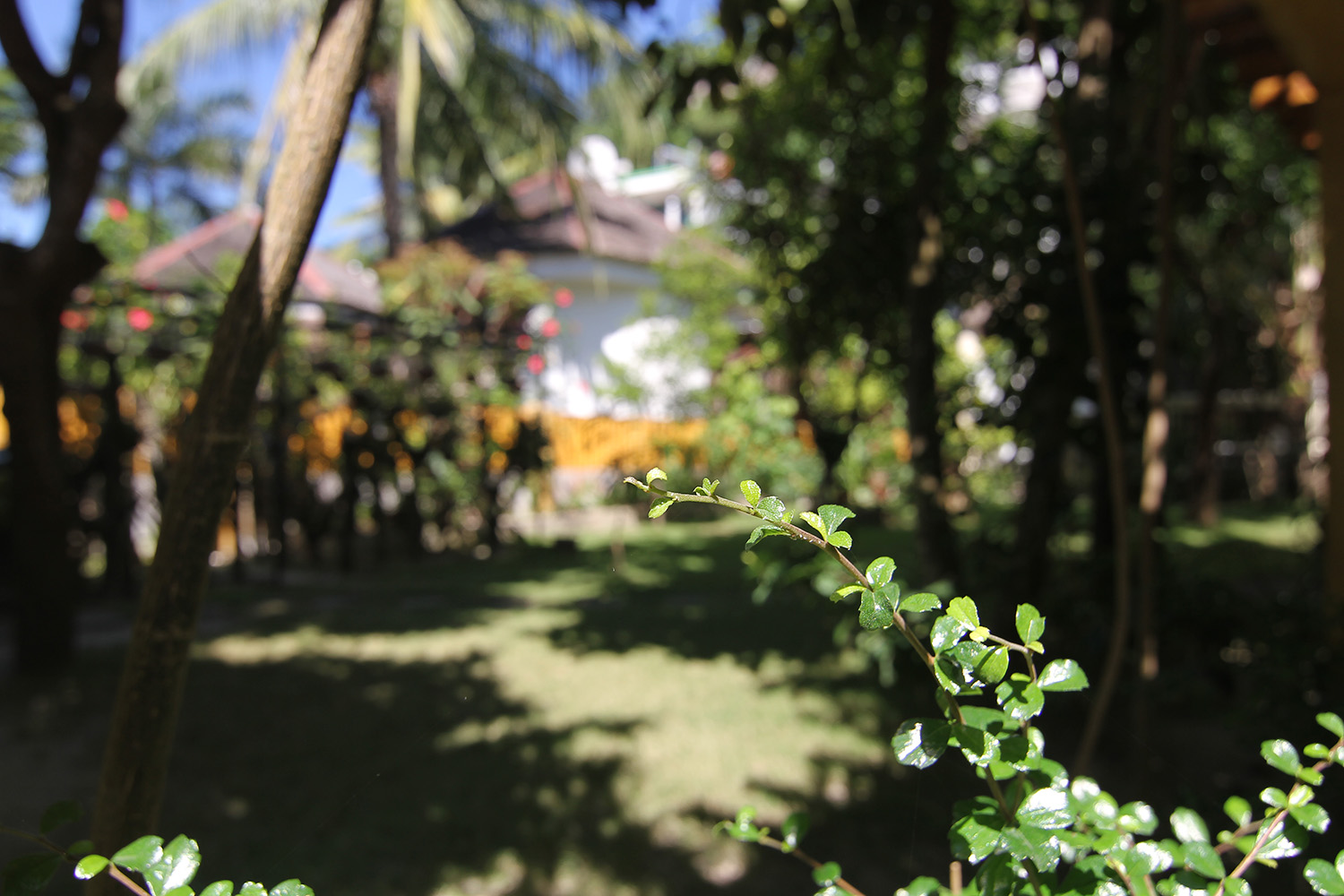 Accommodation