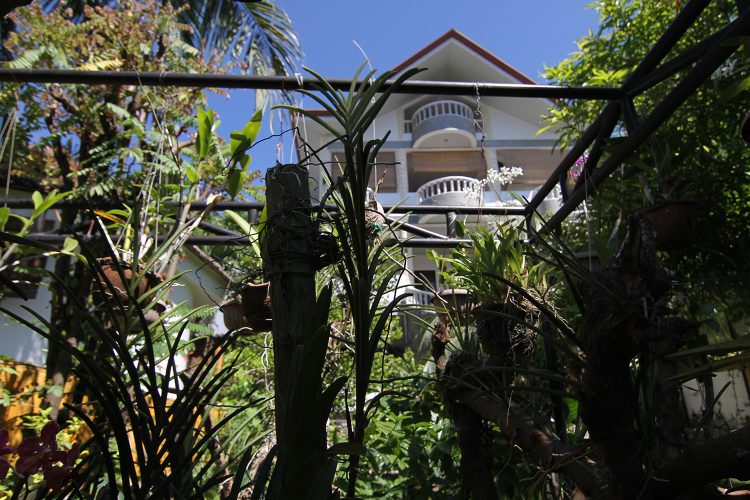 Accommodation